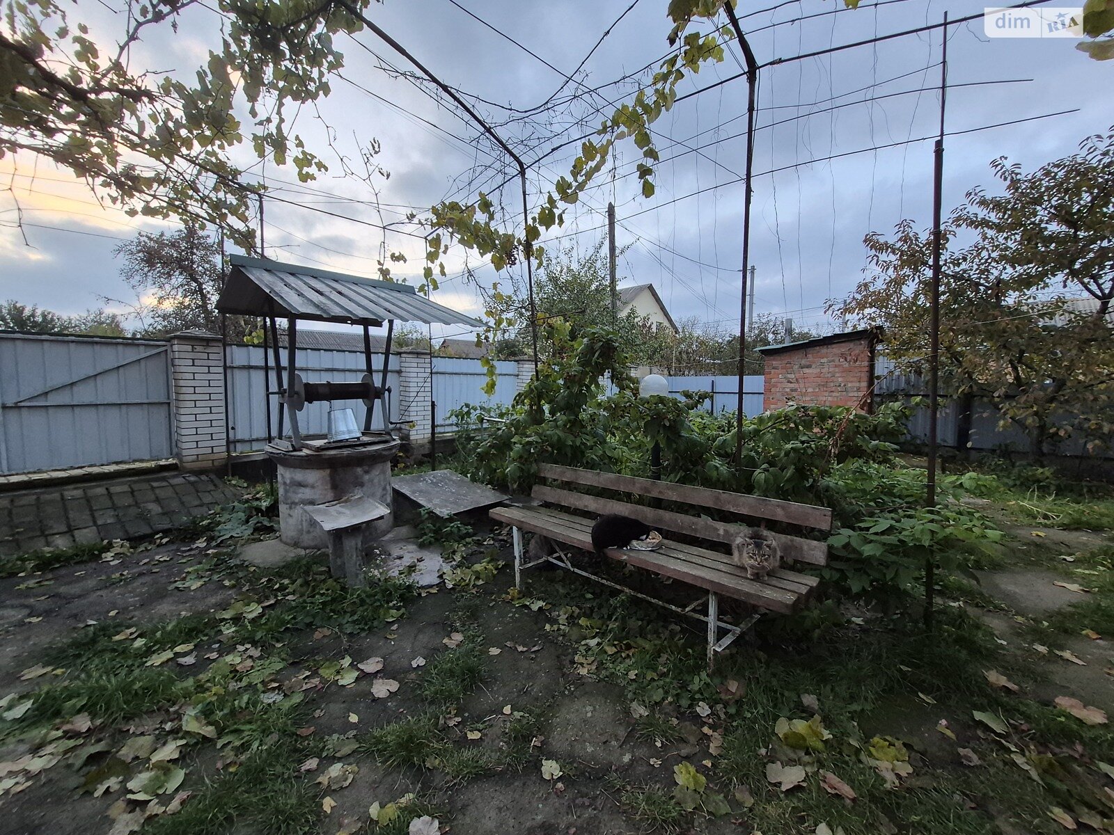 одноповерховий будинок з верандою, 80 кв. м, кирпич. Продаж в Вінниці, район Старе місто фото 1 одноповерховий будинок з верандою, 80 кв. м, кирпич. Продаж в Вінниці, район Старе місто фото 1