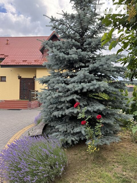 Будинок за адресою (площа 170 м²) - Atlanta.ua - фото 9