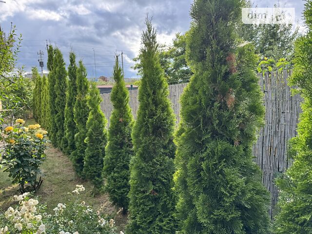 Будинок за адресою (площа 170 м²) - Atlanta.ua - фото 13