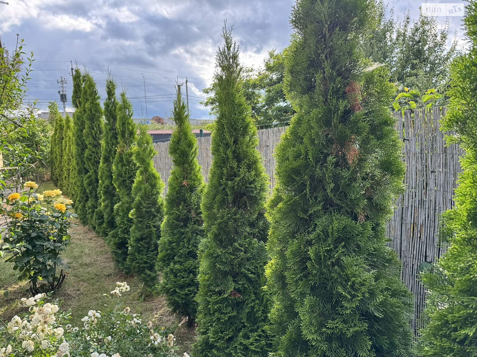 двоповерховий будинок з балконом, 170 кв. м, газобетон. Продаж в Вінниці, район Старе місто фото 1 двоповерховий будинок з балконом, 170 кв. м, газобетон. Продаж в Вінниці, район Старе місто фото 1
