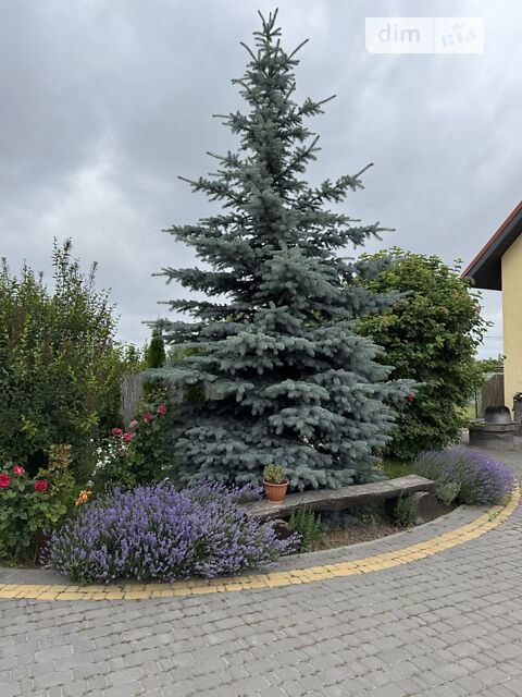 Будинок за адресою (площа 170 м²) - Atlanta.ua - фото 22