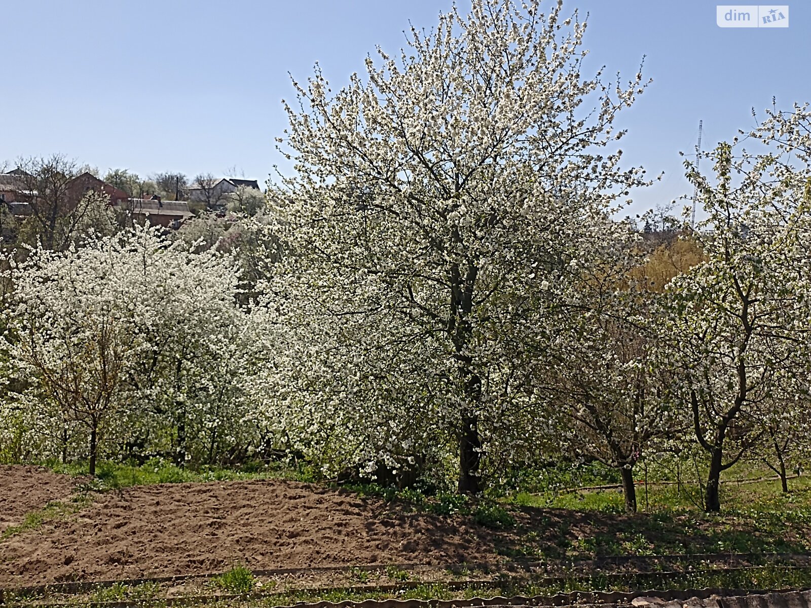 одноповерховий будинок з верандою, 95.6 кв. м, цегла. Продаж в Вінниці, район Старе місто фото 1