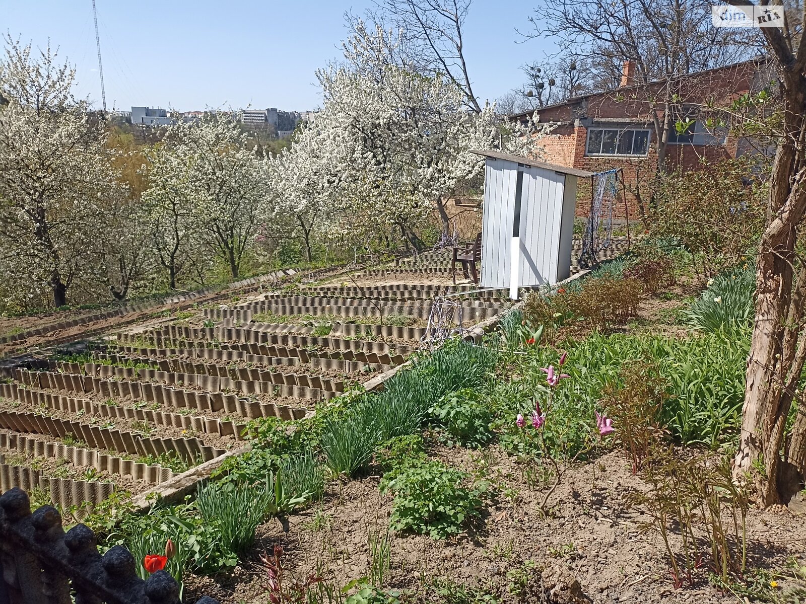 одноповерховий будинок з верандою, 95.6 кв. м, цегла. Продаж в Вінниці, район Старе місто фото 1