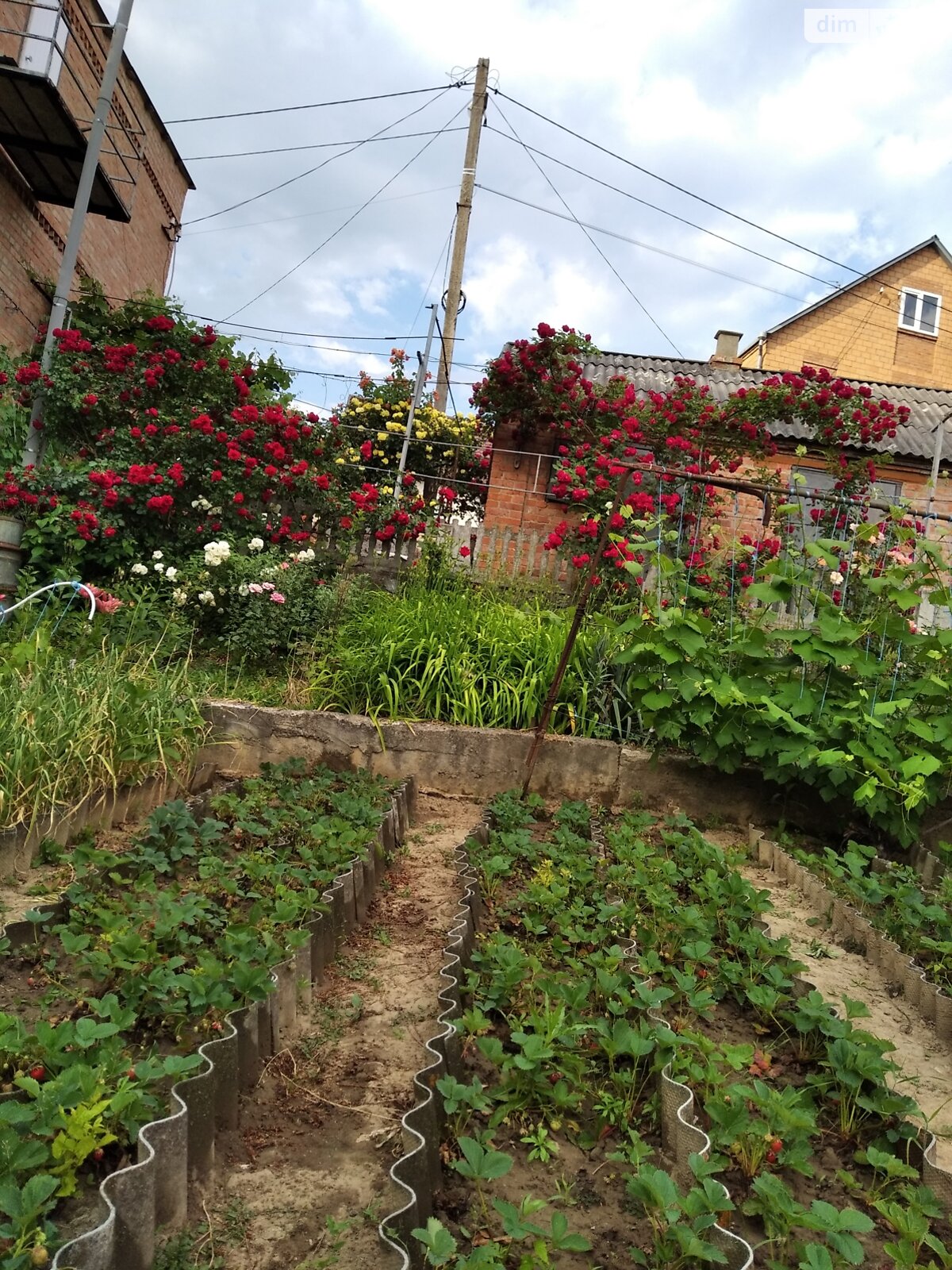 одноповерховий будинок з верандою, 95.6 кв. м, цегла. Продаж в Вінниці, район Старе місто фото 1