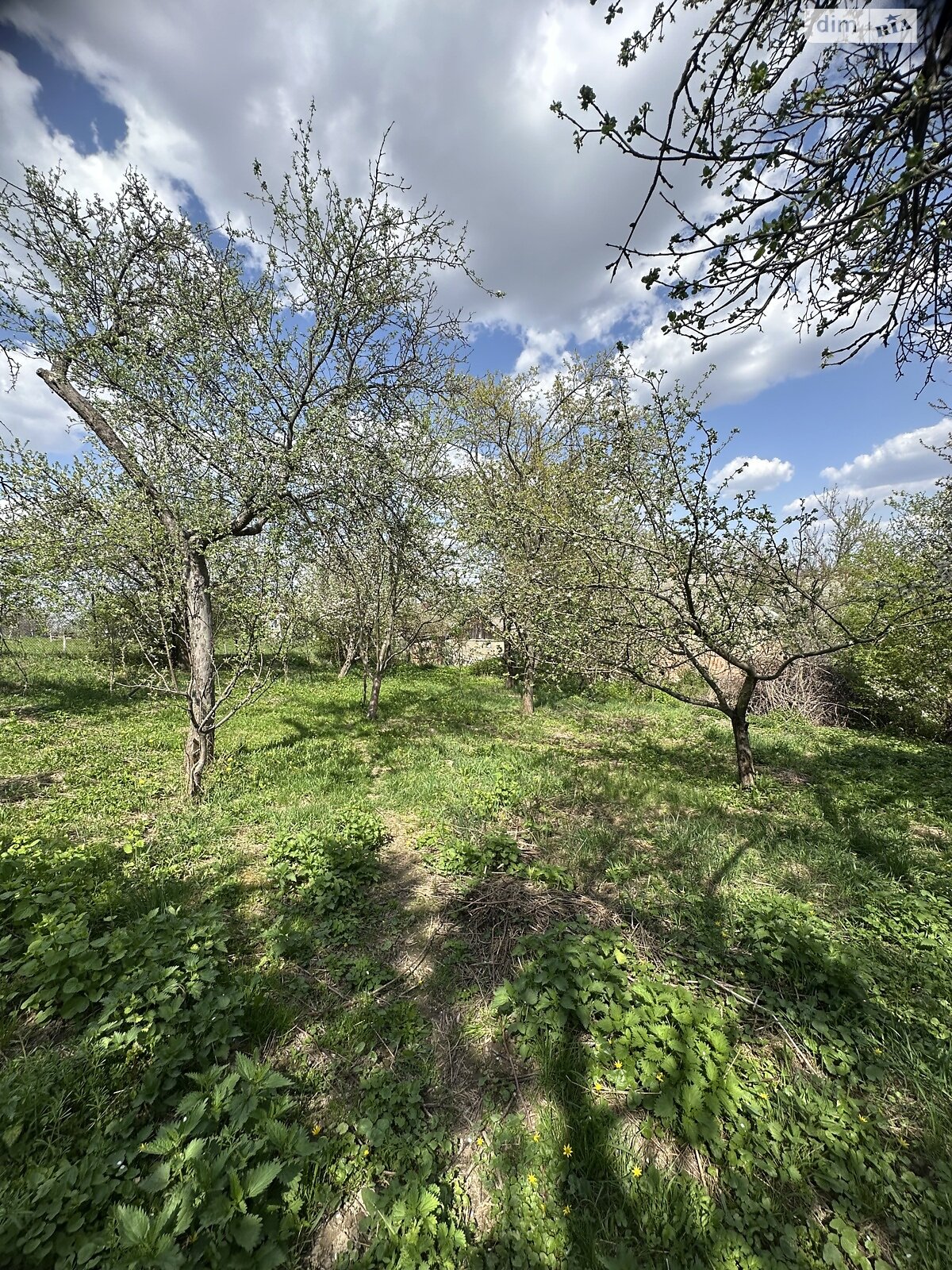 одноповерховий будинок з верандою, 66.7 кв. м, кирпич. Продаж у Вінницьких Хуторах фото 1 одноповерховий будинок з верандою, 66.7 кв. м, кирпич. Продаж у Вінницьких Хуторах фото 1