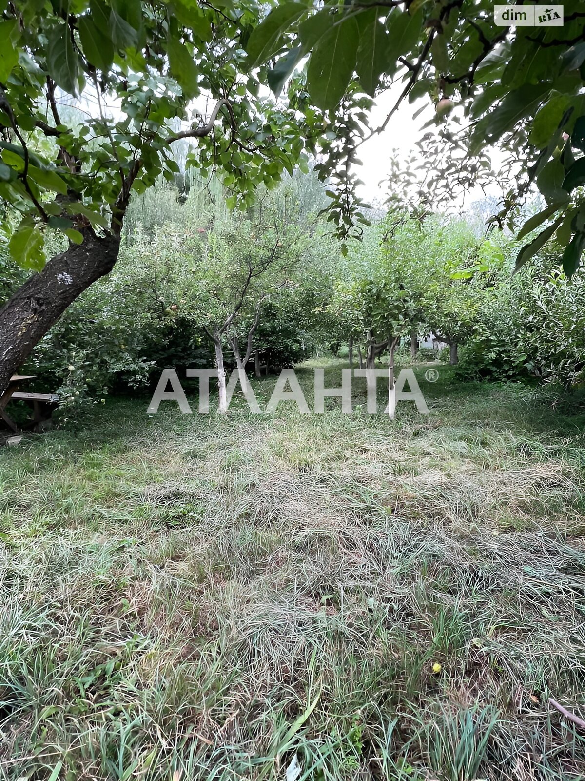 триповерховий будинок, 258.7 кв. м, кирпич. Продаж в Вінниці, район Старе місто фото 1 триповерховий будинок, 258.7 кв. м, кирпич. Продаж в Вінниці, район Старе місто фото 1