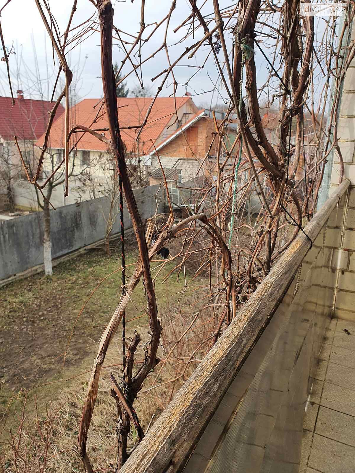 двухэтажный дом с гаражом, 242 кв. м, кирпич. Продажа в Виннице район Старый город фото 1 двухэтажный дом с гаражом, 242 кв. м, кирпич. Продажа в Виннице район Старый город фото 1