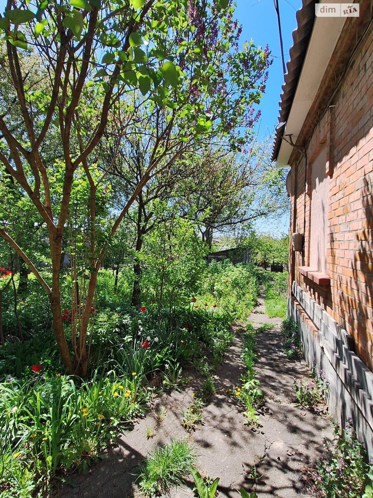 одноповерховий будинок, 65 кв. м, цегла. Продаж в Вінниці, район Старе місто фото 1 одноповерховий будинок, 65 кв. м, цегла. Продаж в Вінниці, район Старе місто фото 1