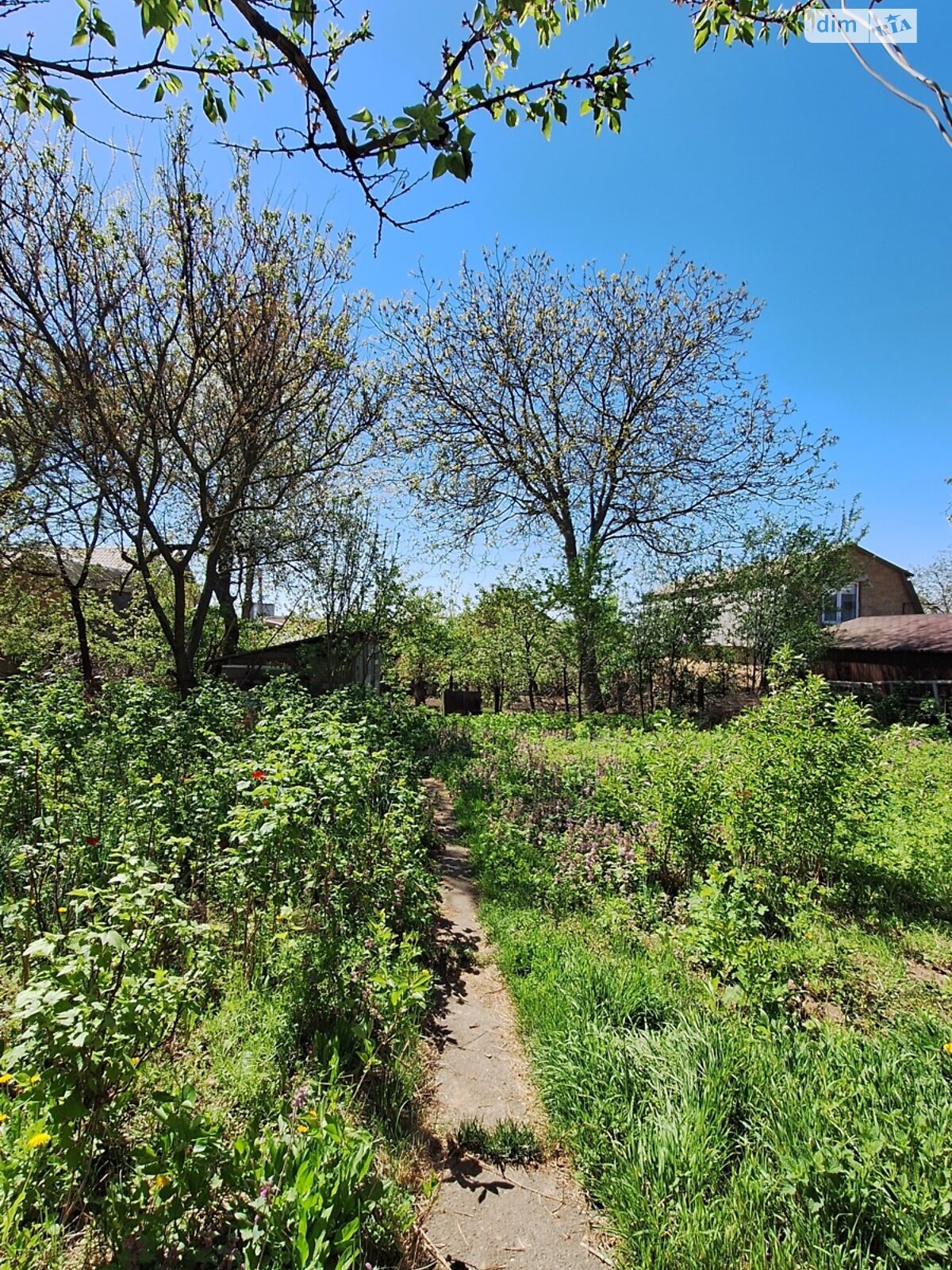 одноповерховий будинок, 65 кв. м, цегла. Продаж в Вінниці, район Старе місто фото 1 одноповерховий будинок, 65 кв. м, цегла. Продаж в Вінниці, район Старе місто фото 1