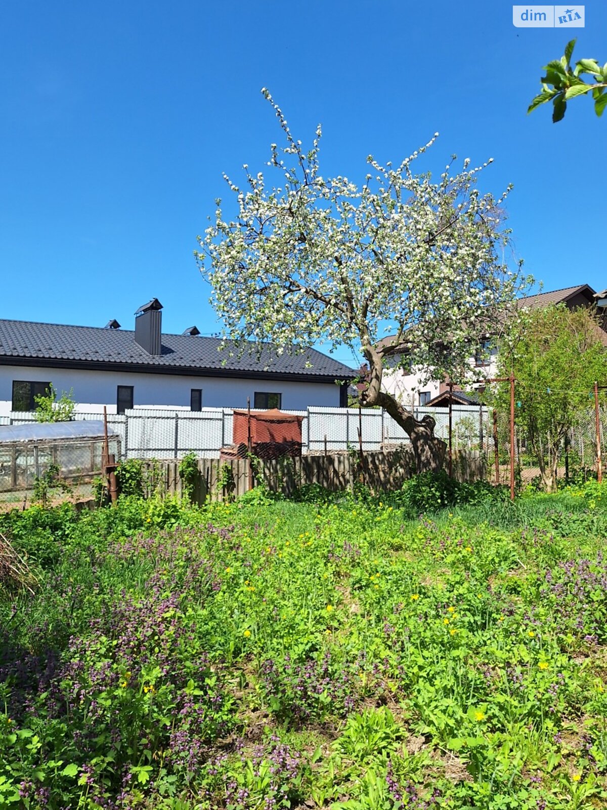 одноповерховий будинок, 65 кв. м, цегла. Продаж в Вінниці, район Старе місто фото 1 одноповерховий будинок, 65 кв. м, цегла. Продаж в Вінниці, район Старе місто фото 1
