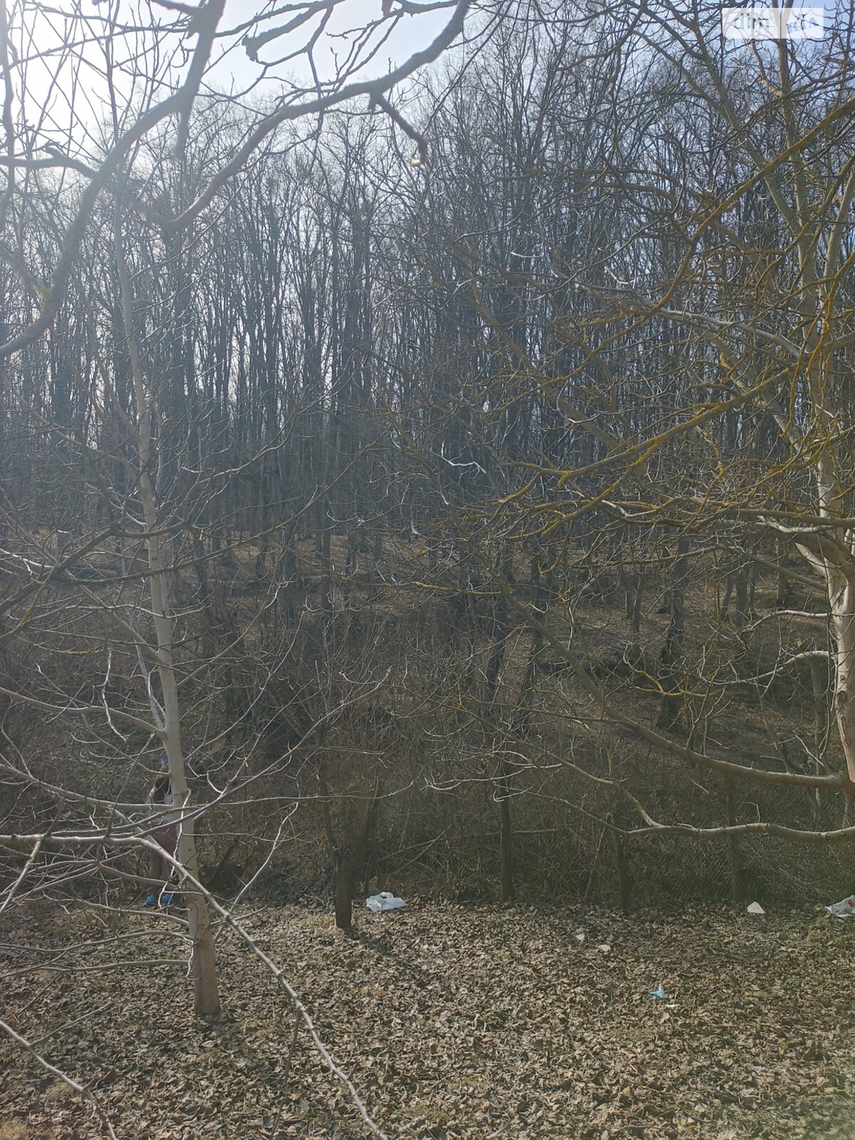 одноповерховий будинок, 124.5 кв. м, шлакоблок. Продаж в Вінниці, район Старе місто фото 1 одноповерховий будинок, 124.5 кв. м, шлакоблок. Продаж в Вінниці, район Старе місто фото 1