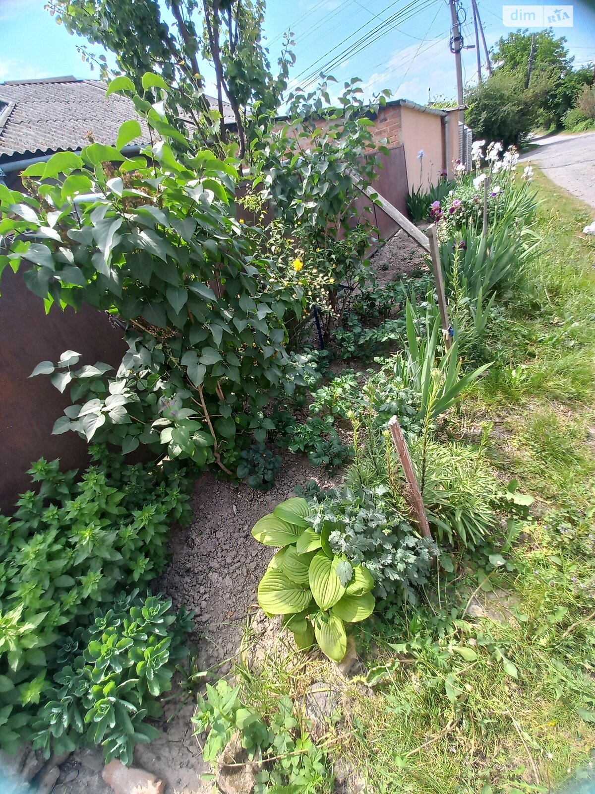 одноповерховий будинок з гаражем, 120 кв. м, цегла. Продаж в Вінниці, район Старе місто фото 1 одноповерховий будинок з гаражем, 120 кв. м, цегла. Продаж в Вінниці, район Старе місто фото 1