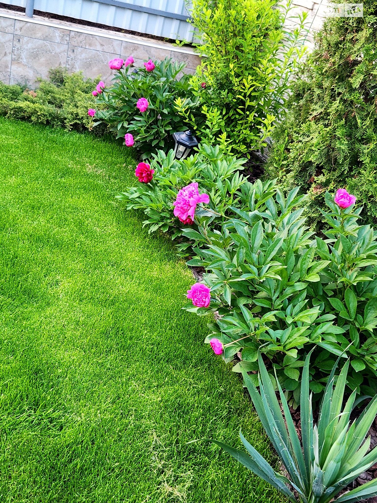 одноэтажный дом беседка, 70 кв. м, кирпич. Продажа в Виннице район Старый город фото 1