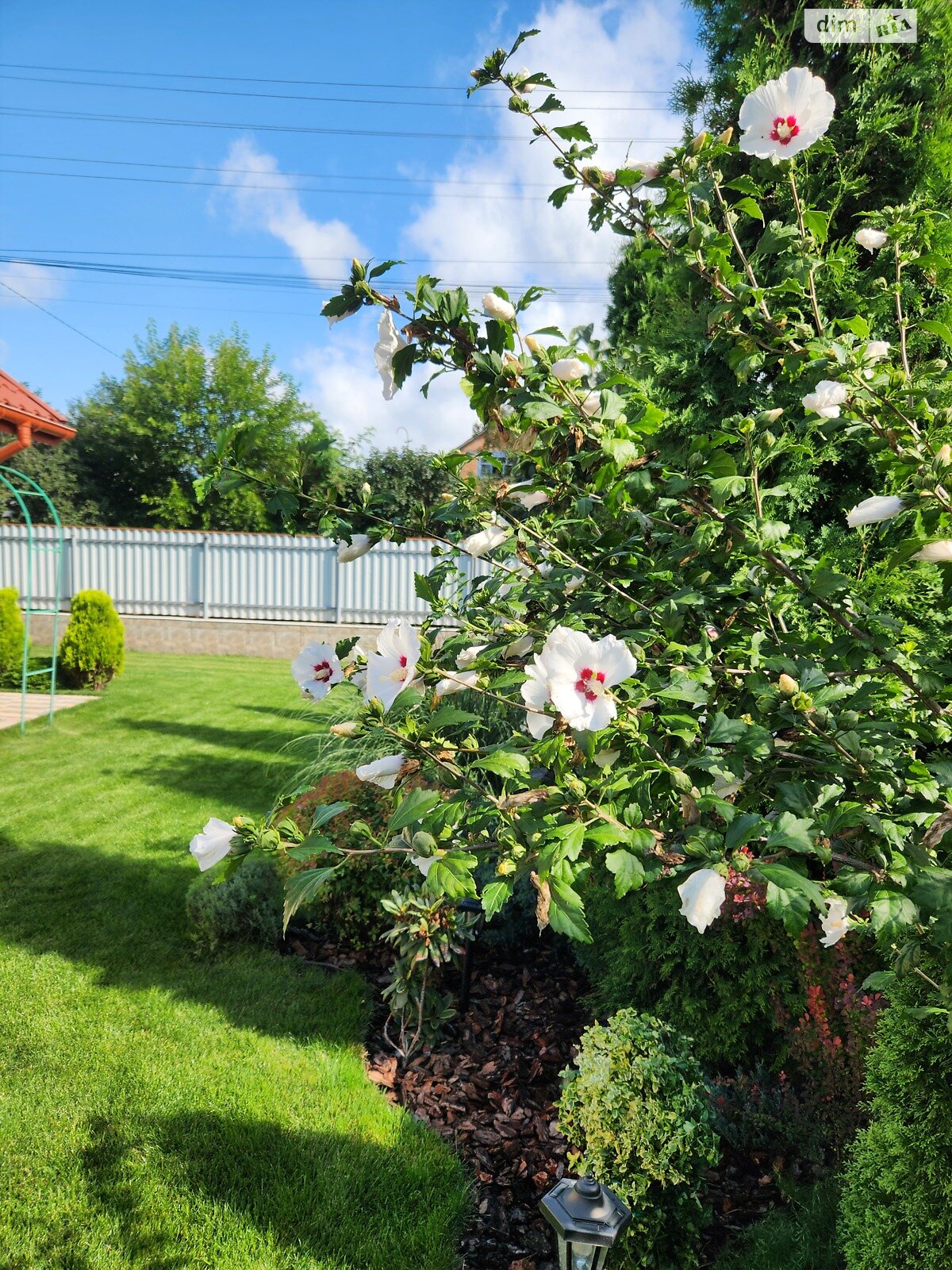 одноэтажный дом беседка, 70 кв. м, кирпич. Продажа в Виннице район Старый город фото 1