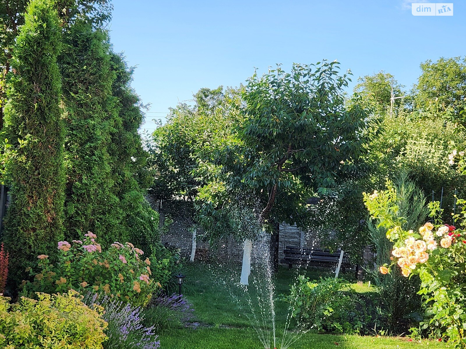 одноэтажный дом беседка, 70 кв. м, кирпич. Продажа в Виннице район Старый город фото 1