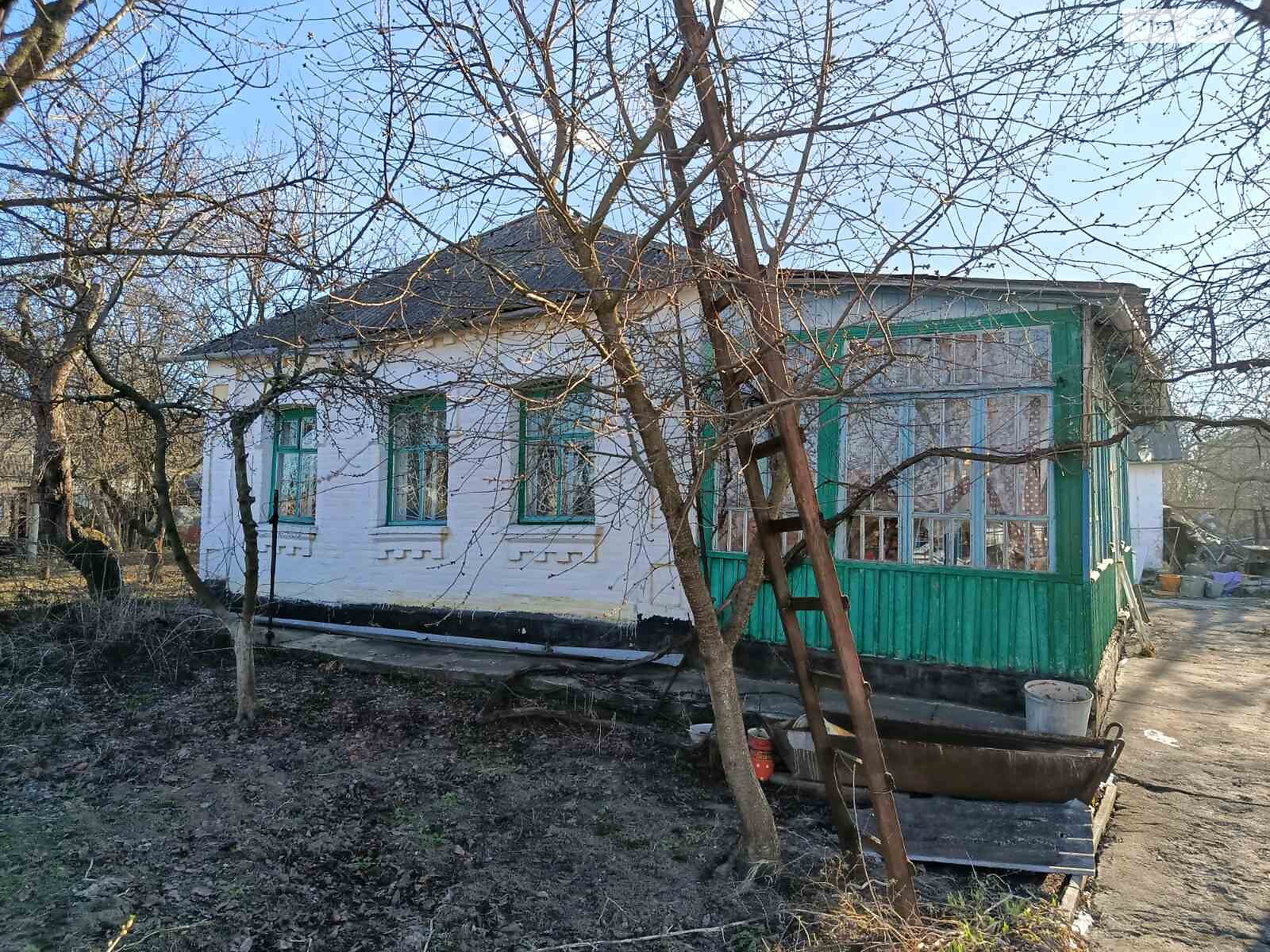 одноповерховий будинок з гаражем, 75.9 кв. м, цегла. Продаж в Вінниці, район Старе місто фото 1