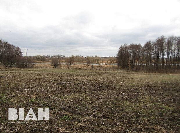 одноэтажный дом с верандой, 70 кв. м, глинобитный. Продажа в Стрижавке (Винницкая обл.) фото 1 одноэтажный дом с верандой, 70 кв. м, глинобитный. Продажа в Стрижавке (Винницкая обл.) фото 1