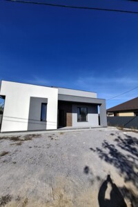 одноэтажный дом, 115 кв. м, кирпич. Продажа в Виннице фото 2