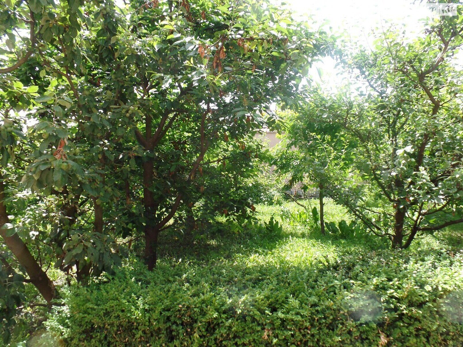 триповерховий будинок з опаленням, 387.3 кв. м, цегла. Продаж в Вінниці, район Центр фото 1 триповерховий будинок з опаленням, 387.3 кв. м, цегла. Продаж в Вінниці, район Центр фото 1