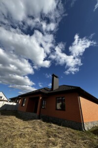 одноповерховий будинок, 108 кв. м, цегла. Продаж у Луці-Мелешківській фото 2