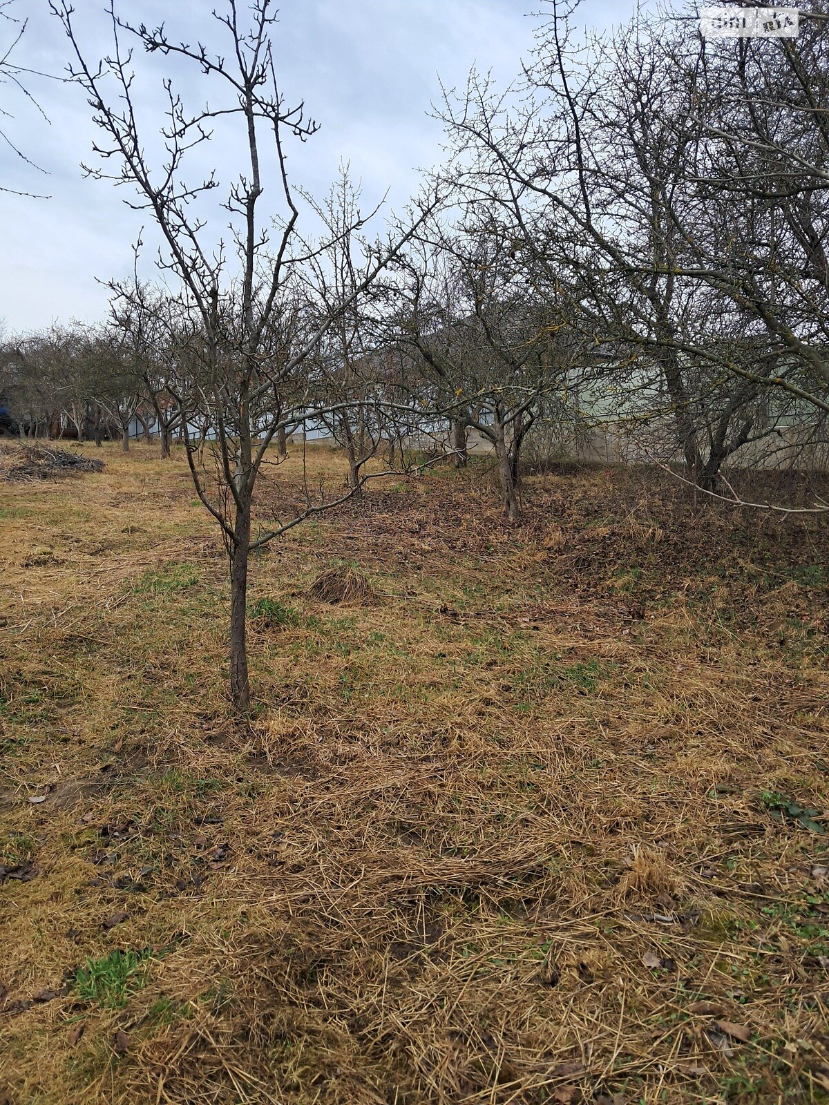 одноповерховий будинок, 66.7 кв. м, цегла. Продаж у Вінницьких Хуторах фото 1