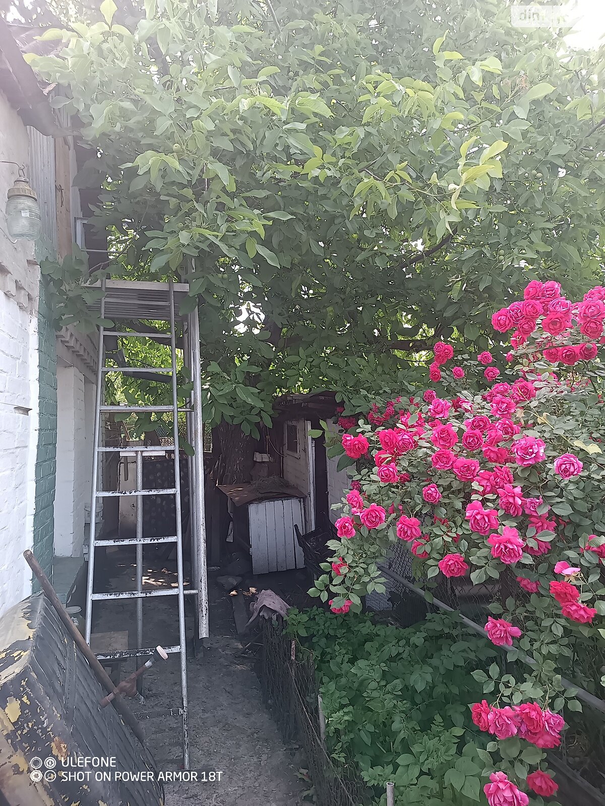 одноповерховий будинок з гаражем, 90 кв. м, цегла. Продаж в Вінниці, район Тяжилів фото 1 одноповерховий будинок з гаражем, 90 кв. м, цегла. Продаж в Вінниці, район Тяжилів фото 1