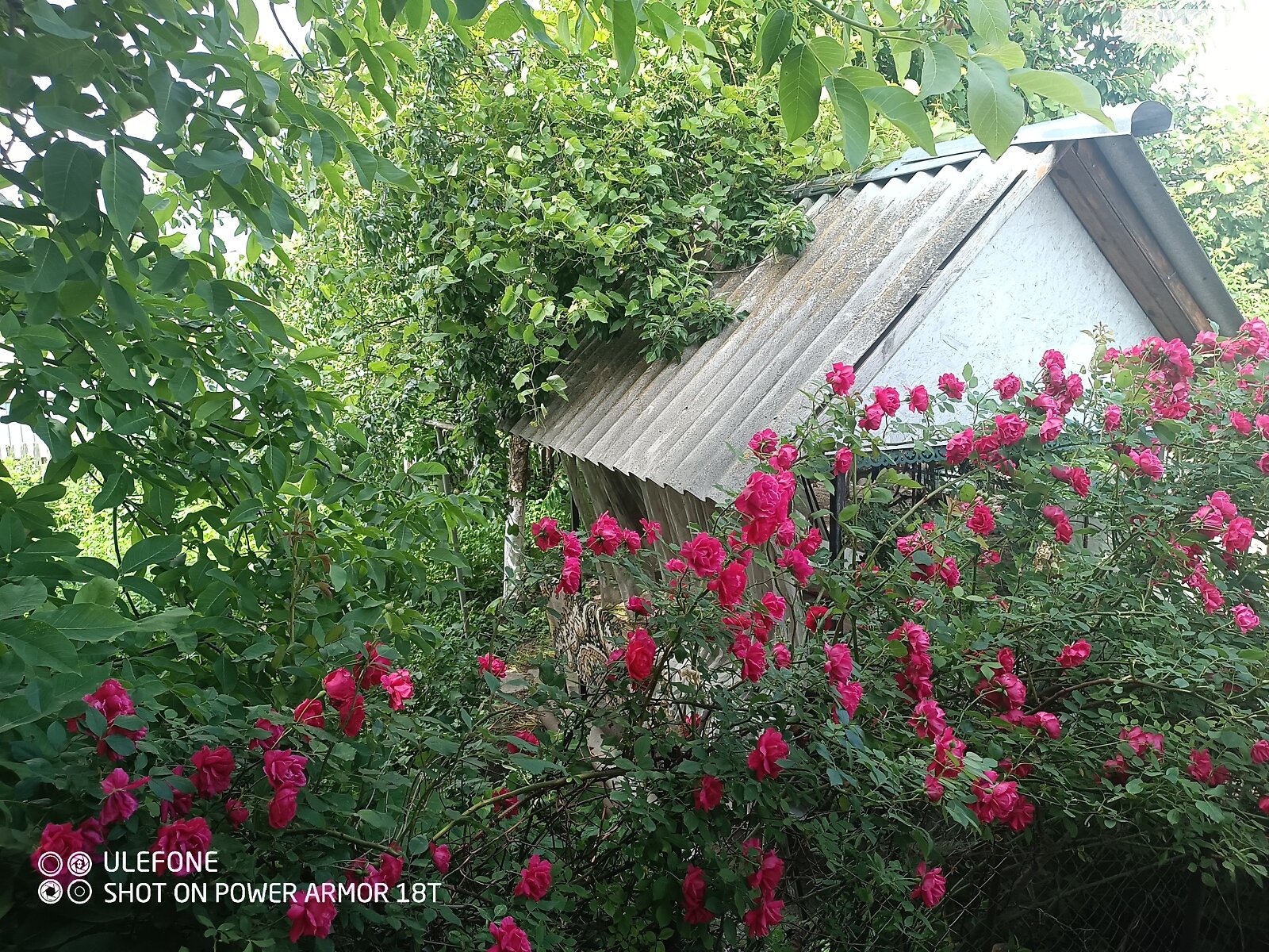 одноповерховий будинок з гаражем, 90 кв. м, цегла. Продаж в Вінниці, район Тяжилів фото 1 одноповерховий будинок з гаражем, 90 кв. м, цегла. Продаж в Вінниці, район Тяжилів фото 1