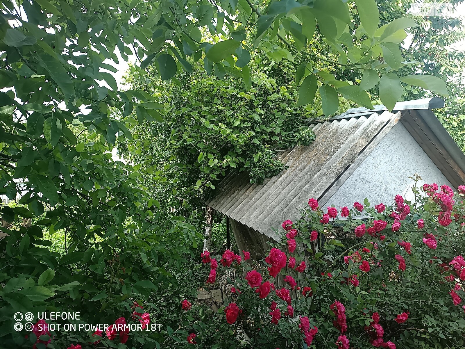 одноповерховий будинок з гаражем, 90 кв. м, цегла. Продаж в Вінниці, район Тяжилів фото 1 одноповерховий будинок з гаражем, 90 кв. м, цегла. Продаж в Вінниці, район Тяжилів фото 1