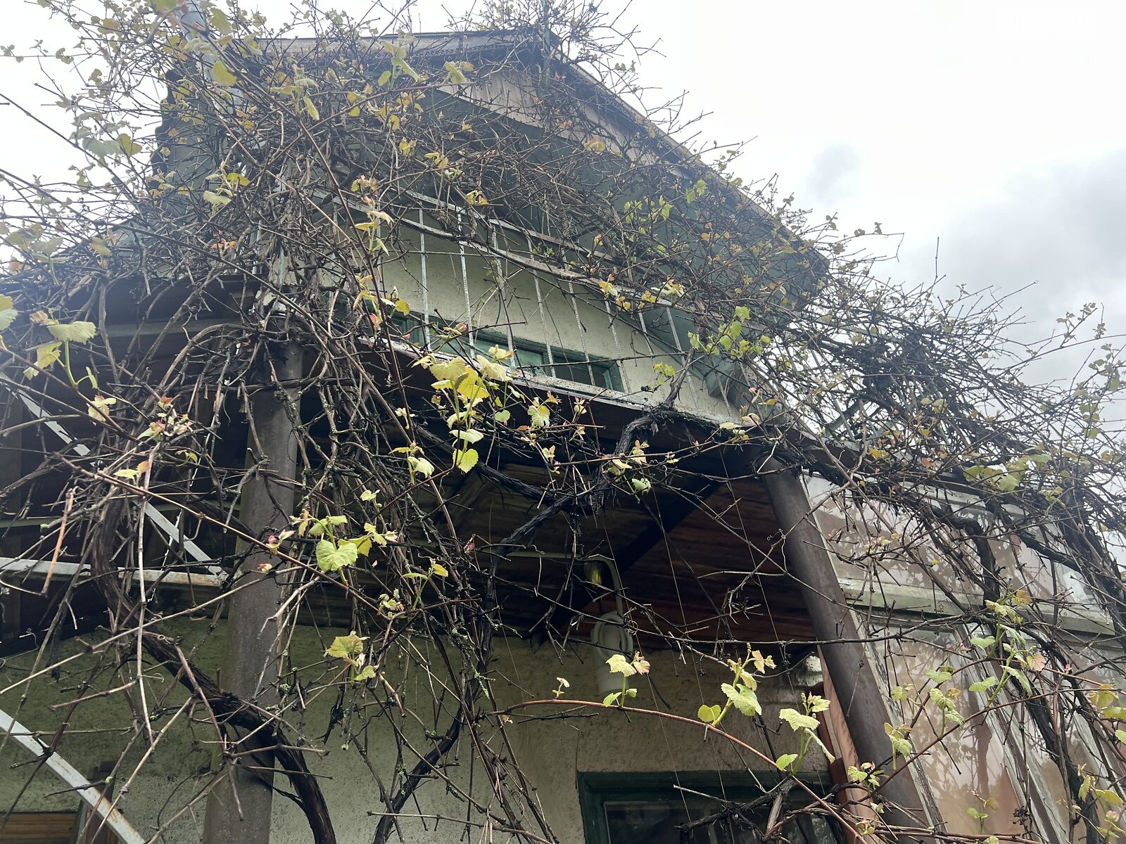 двоповерховий будинок з опаленням, 55 кв. м, цегла. Продаж у Хижинцях фото 1 двоповерховий будинок з опаленням, 55 кв. м, цегла. Продаж у Хижинцях фото 1