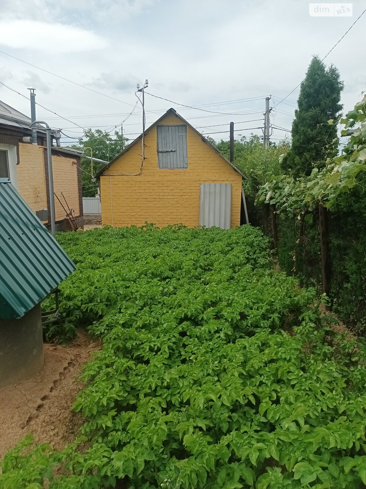 одноповерховий будинок, 64 кв. м, цегла. Продаж у Вінницьких Хуторах фото 1 одноповерховий будинок, 64 кв. м, цегла. Продаж у Вінницьких Хуторах фото 1