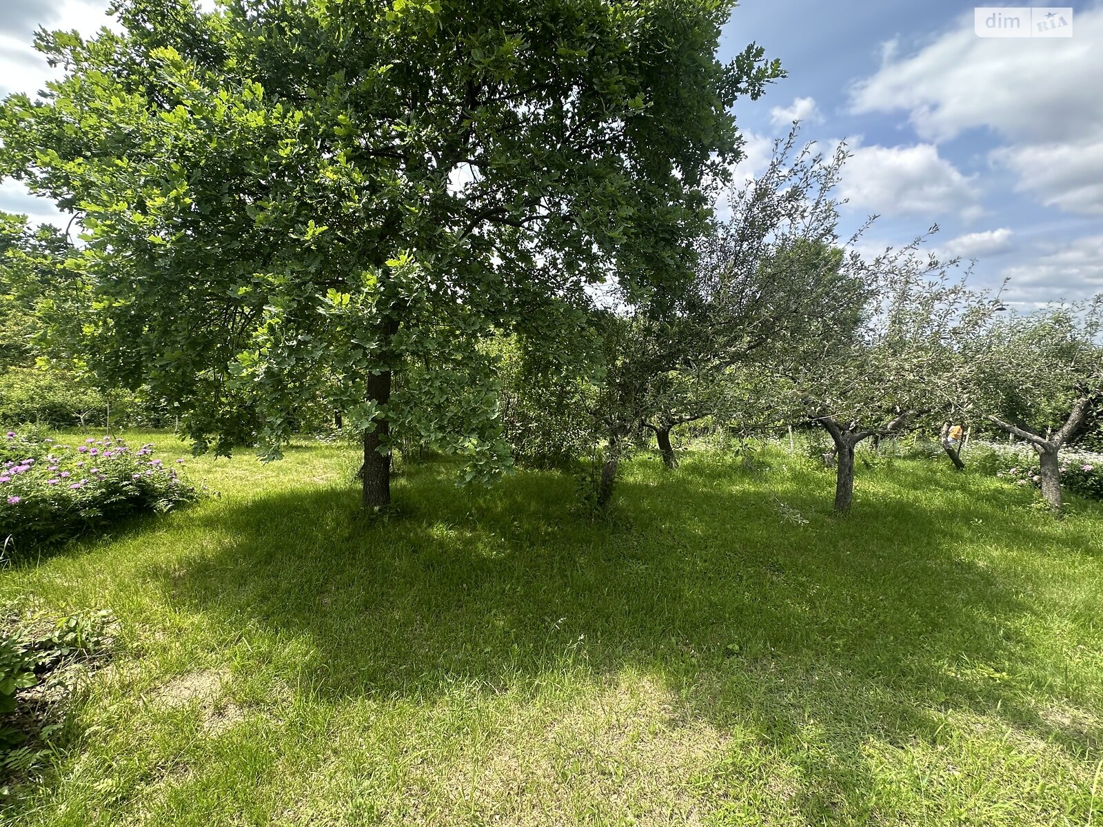 одноповерховий будинок з опаленням, 65.5 кв. м, цегла. Продаж у Вінницьких Хуторах фото 1 одноповерховий будинок з опаленням, 65.5 кв. м, цегла. Продаж у Вінницьких Хуторах фото 1