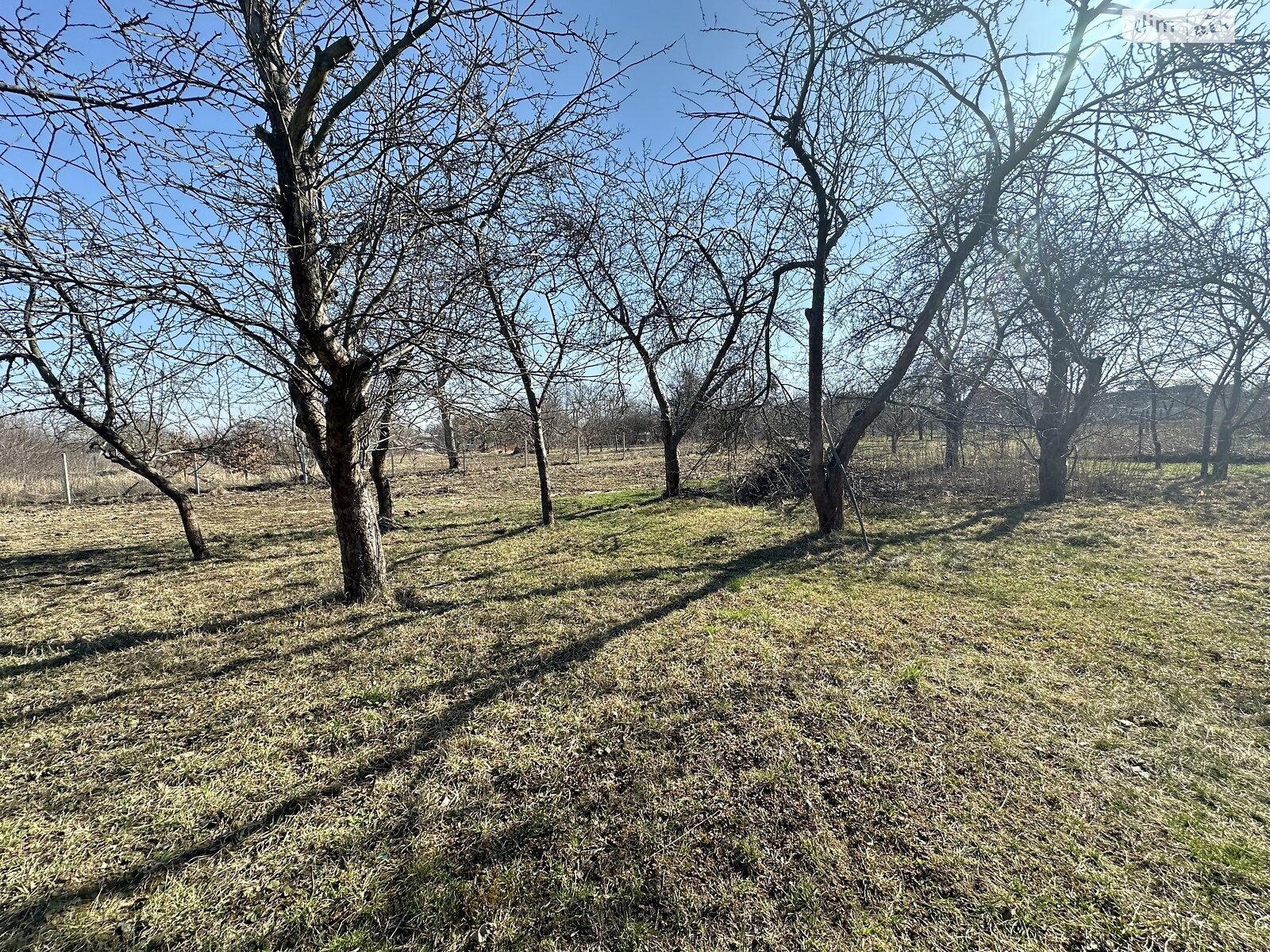 одноповерховий будинок з верандою, 95.5 кв. м, цегла. Продаж у Вінницьких Хуторах фото 1 одноповерховий будинок з верандою, 95.5 кв. м, цегла. Продаж у Вінницьких Хуторах фото 1