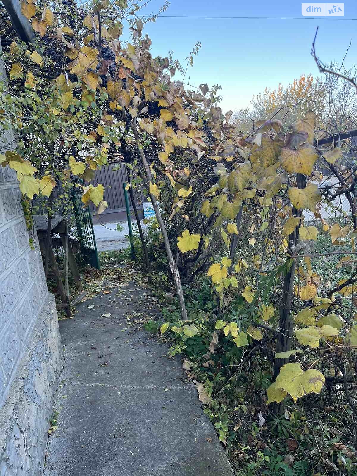 одноповерховий будинок з верандою, 50 кв. м, цегла. Продаж у Вінницьких Хуторах фото 1 одноповерховий будинок з верандою, 50 кв. м, цегла. Продаж у Вінницьких Хуторах фото 1