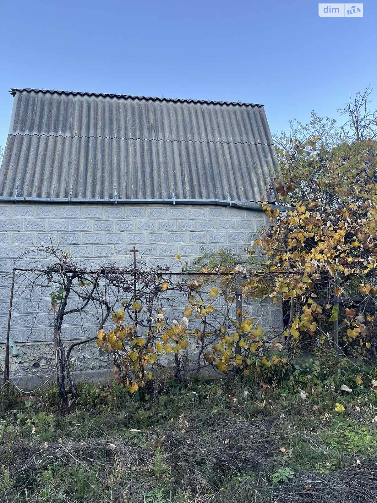 одноповерховий будинок з верандою, 50 кв. м, цегла. Продаж у Вінницьких Хуторах фото 1 одноповерховий будинок з верандою, 50 кв. м, цегла. Продаж у Вінницьких Хуторах фото 1