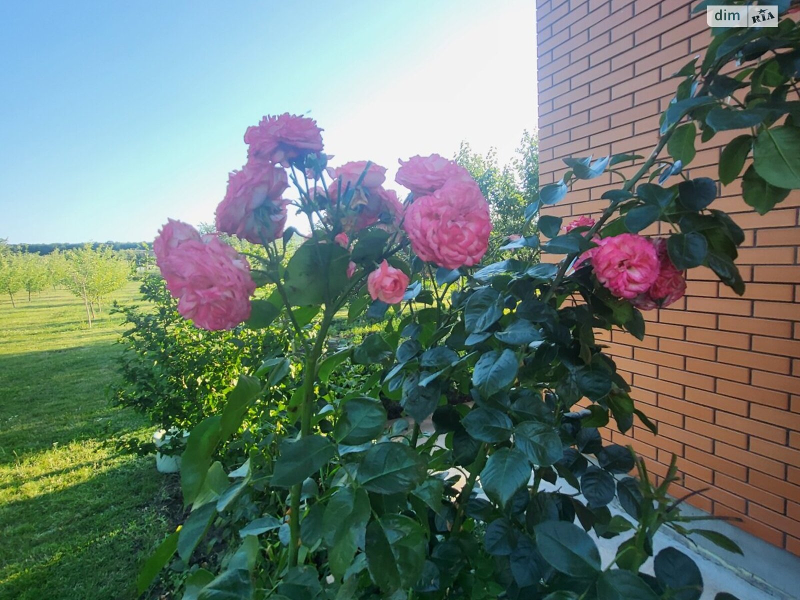 двоповерховий будинок, 300 кв. м, цегла. Продаж у Вінницьких Хуторах фото 1 двоповерховий будинок, 300 кв. м, цегла. Продаж у Вінницьких Хуторах фото 1