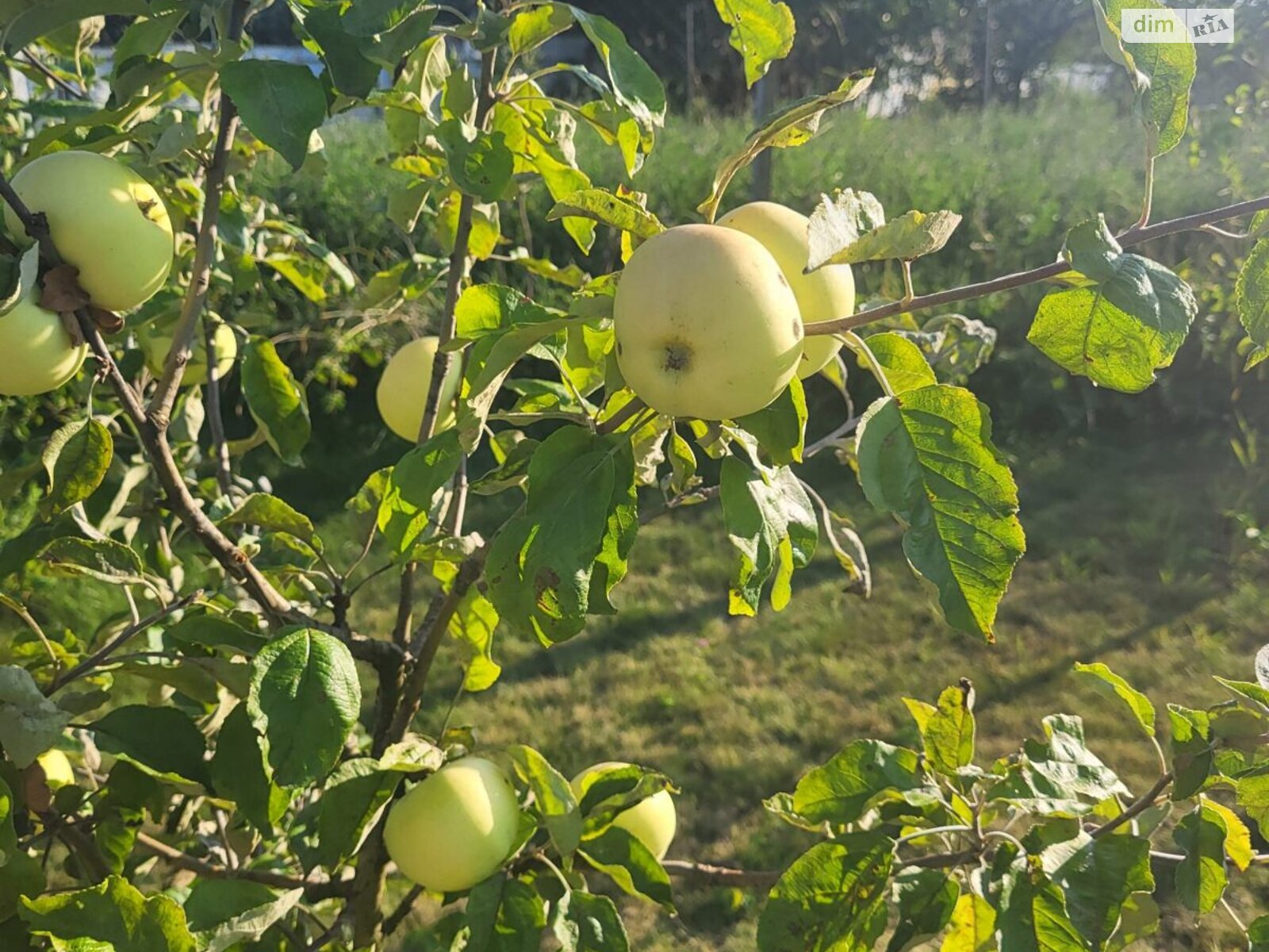 двоповерховий будинок, 300 кв. м, цегла. Продаж у Вінницьких Хуторах фото 1 двоповерховий будинок, 300 кв. м, цегла. Продаж у Вінницьких Хуторах фото 1