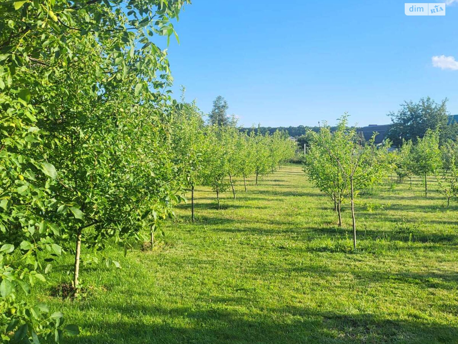 двоповерховий будинок, 300 кв. м, цегла. Продаж у Вінницьких Хуторах фото 1 двоповерховий будинок, 300 кв. м, цегла. Продаж у Вінницьких Хуторах фото 1