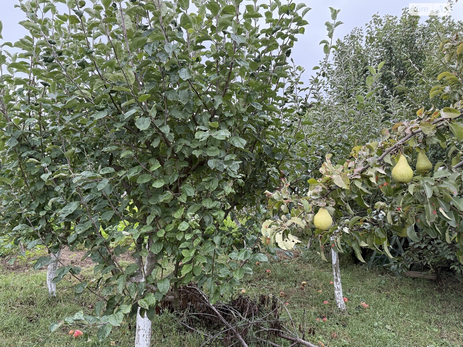 двоповерховий будинок з ремонтом, 86 кв. м, газобетон. Продаж у Вінницьких Хуторах фото 1 двоповерховий будинок з ремонтом, 86 кв. м, газобетон. Продаж у Вінницьких Хуторах фото 1