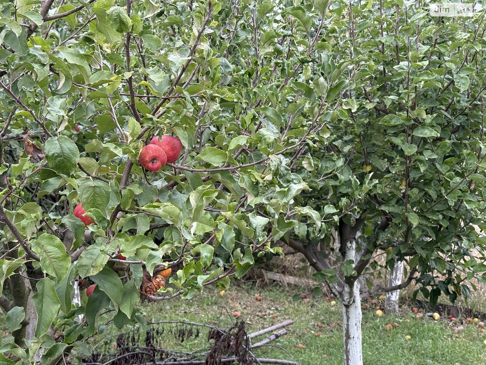 двоповерховий будинок з ремонтом, 86 кв. м, газобетон. Продаж у Вінницьких Хуторах фото 1 двоповерховий будинок з ремонтом, 86 кв. м, газобетон. Продаж у Вінницьких Хуторах фото 1