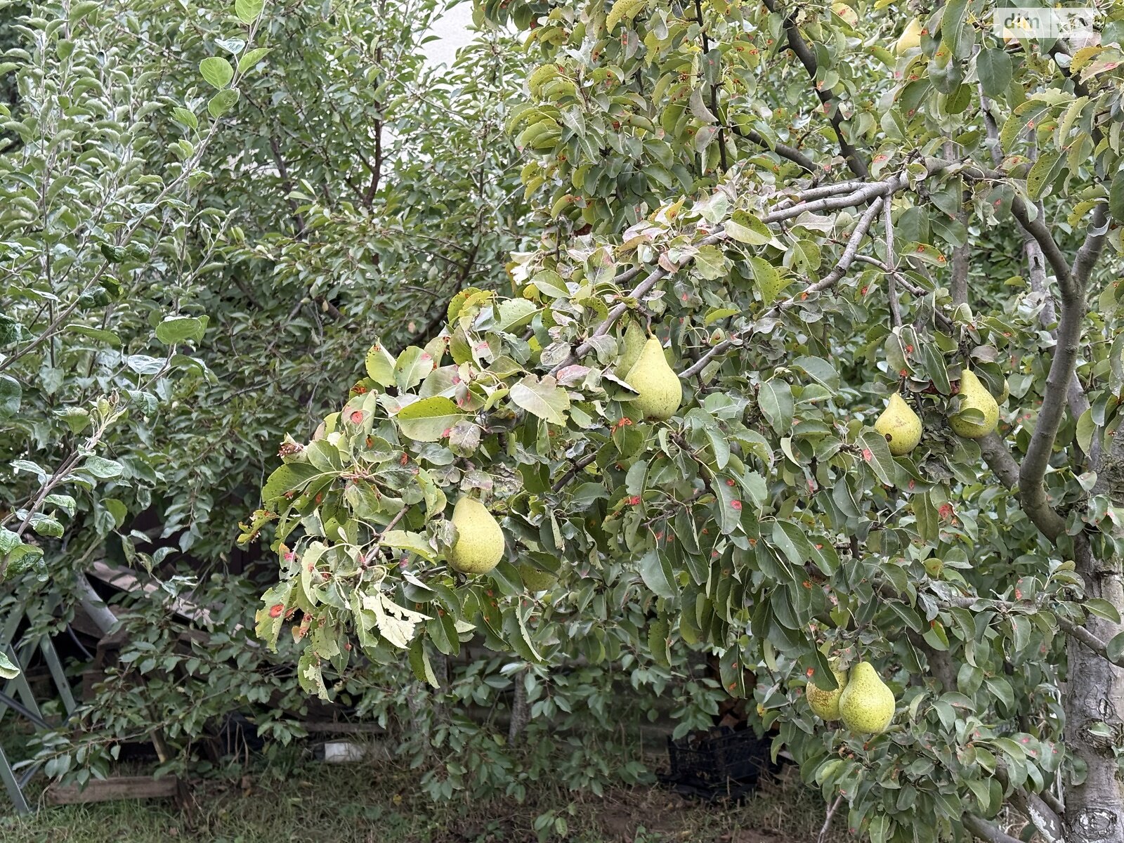 двоповерховий будинок з ремонтом, 86 кв. м, газобетон. Продаж у Вінницьких Хуторах фото 1 двоповерховий будинок з ремонтом, 86 кв. м, газобетон. Продаж у Вінницьких Хуторах фото 1