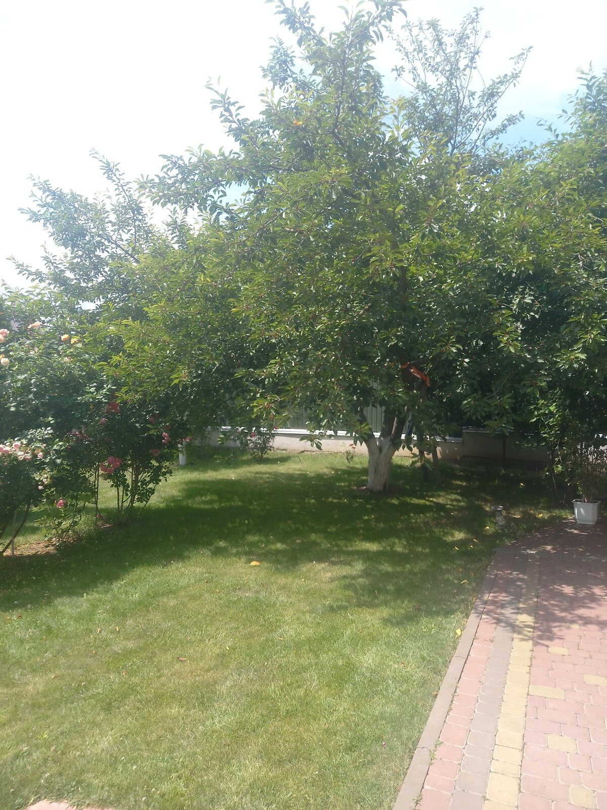 чотириповерховий будинок з гаражем, 250 кв. м, цегла. Продаж у Вінницьких Хуторах фото 1 чотириповерховий будинок з гаражем, 250 кв. м, цегла. Продаж у Вінницьких Хуторах фото 1
