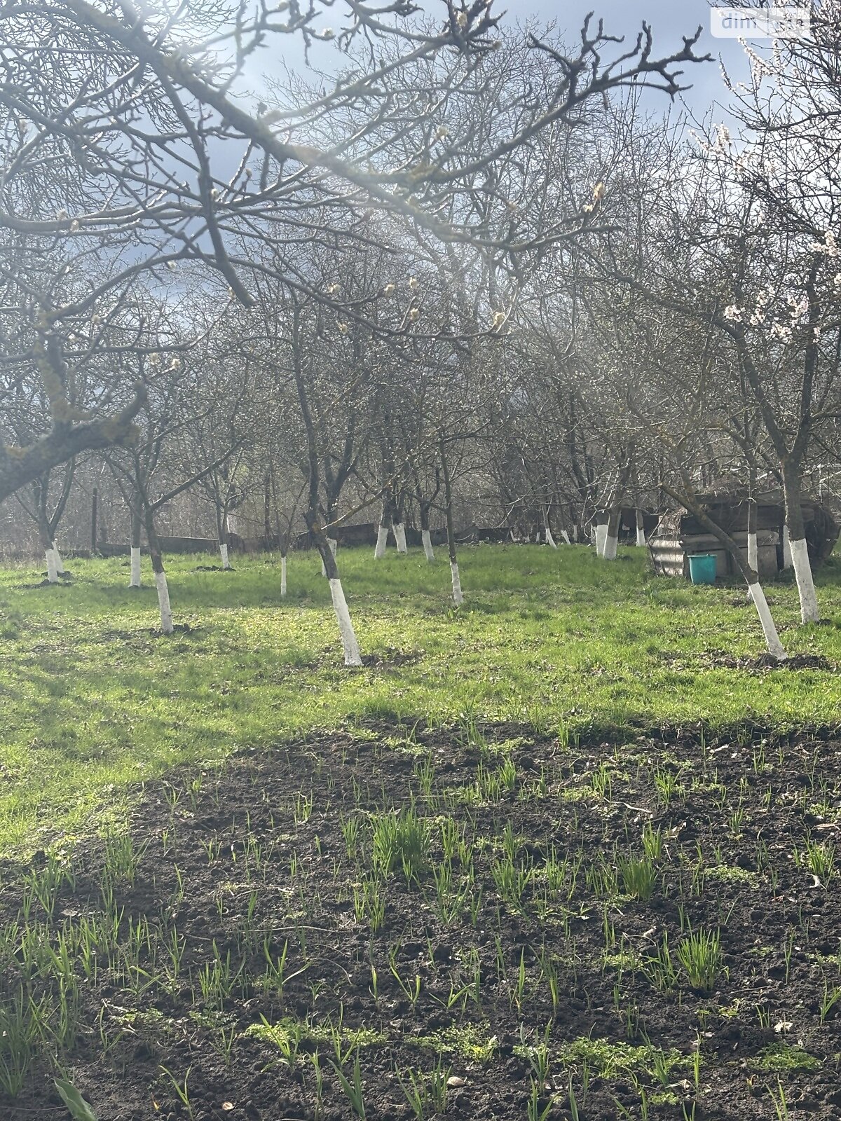 одноэтажный дом, 44 кв. м, кирпич. Продажа в Винницких Хуторах фото 1 одноэтажный дом, 44 кв. м, кирпич. Продажа в Винницких Хуторах фото 1