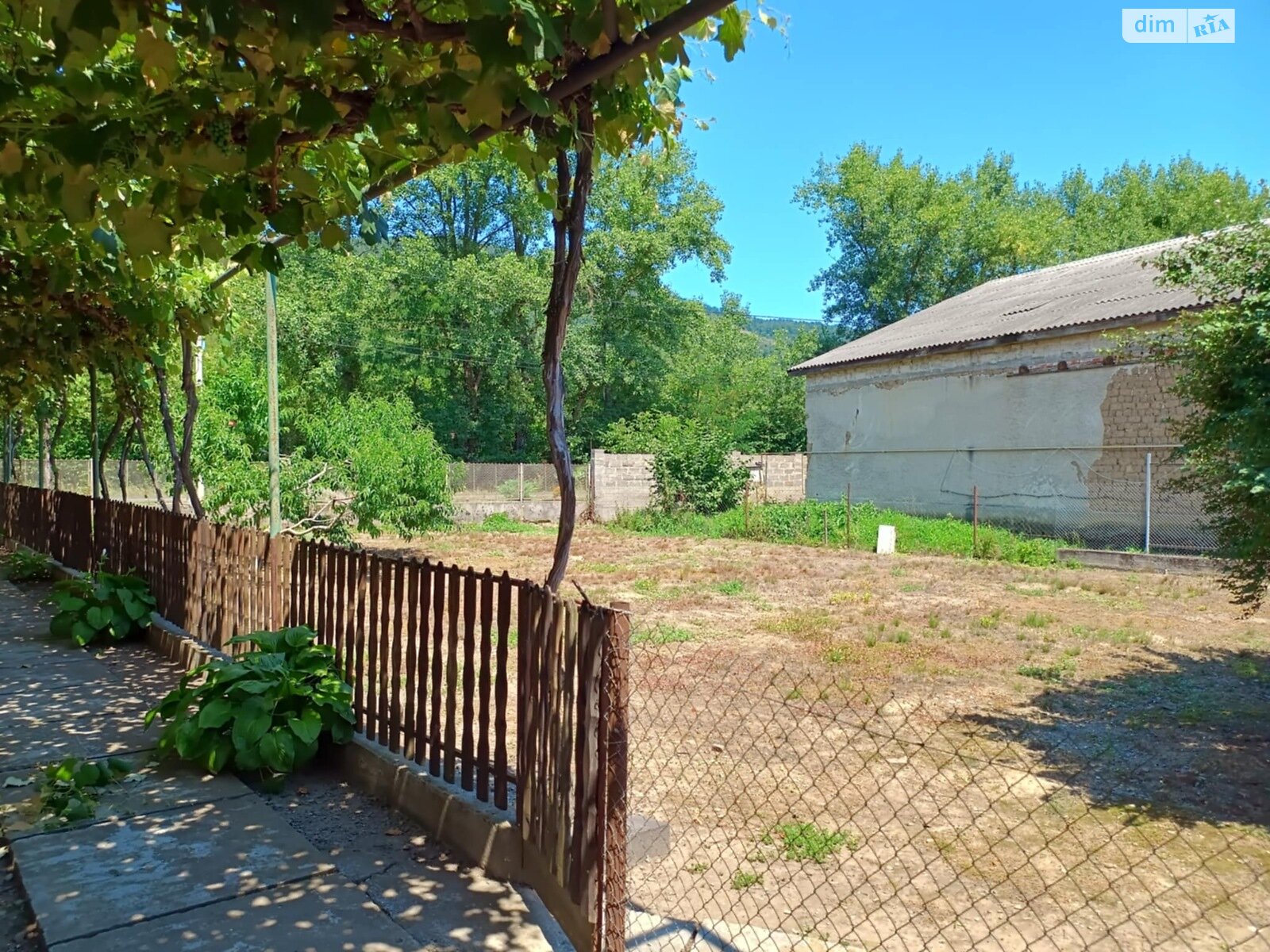 одноповерховий будинок з верандою, 140 кв. м, цегла саманна. Продаж у Виноградові фото 1 одноповерховий будинок з верандою, 140 кв. м, цегла саманна. Продаж у Виноградові фото 1