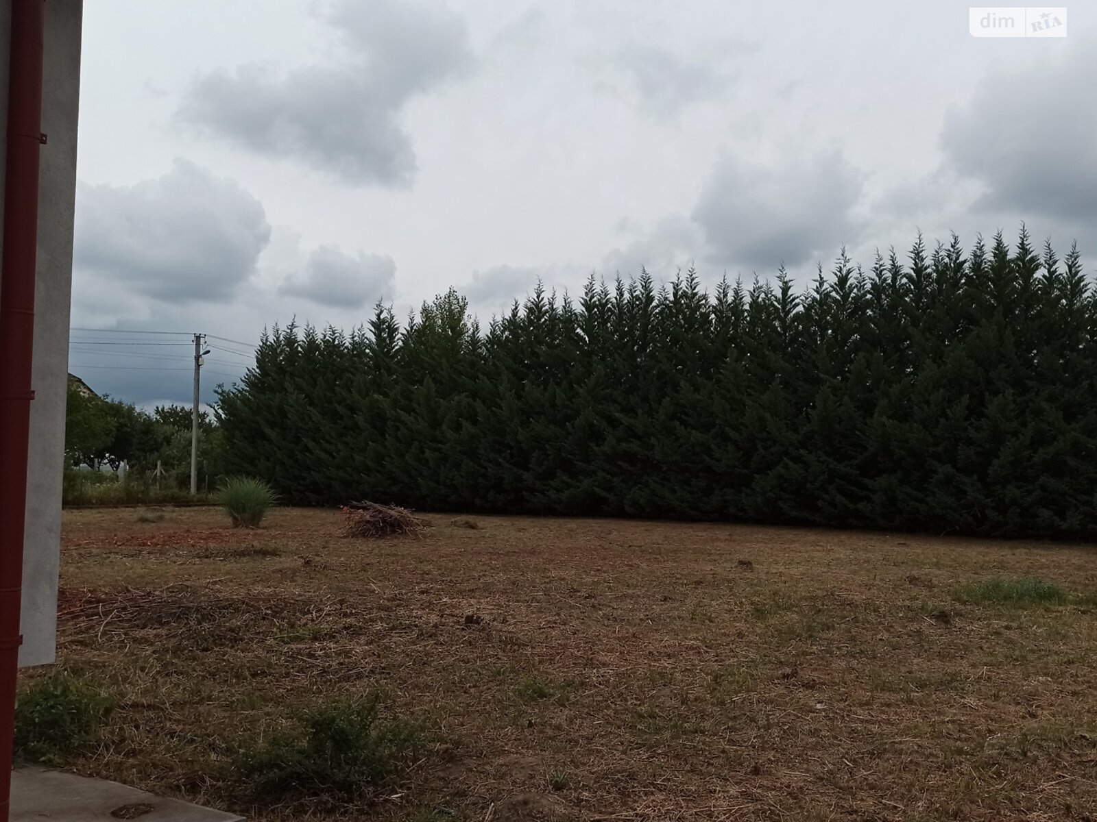 одноповерховий будинок, 290.3 кв. м, цегла. Продаж в Виноградові, район Виноградів фото 1 одноповерховий будинок, 290.3 кв. м, цегла. Продаж в Виноградові, район Виноградів фото 1