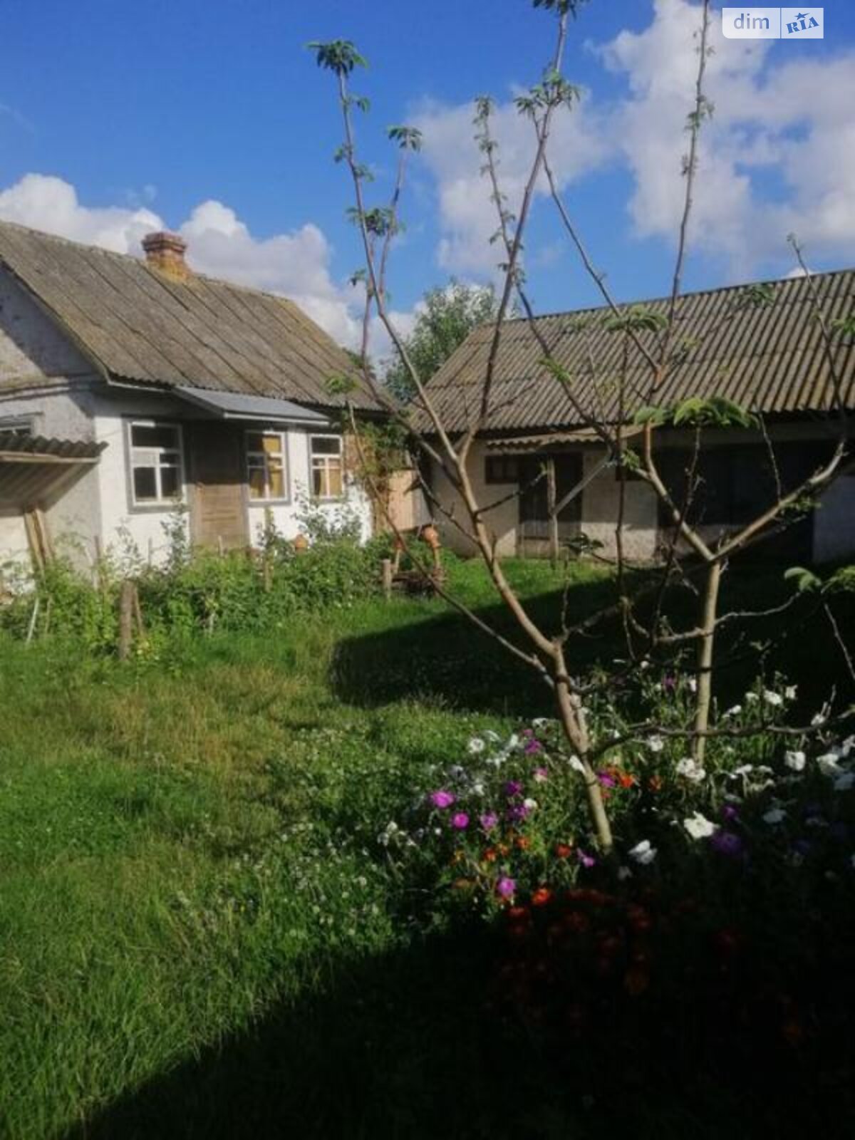 одноповерховий будинок, 67 кв. м, дерево та цегла. Продаж у Вишнівці фото 1 одноповерховий будинок, 67 кв. м, дерево та цегла. Продаж у Вишнівці фото 1