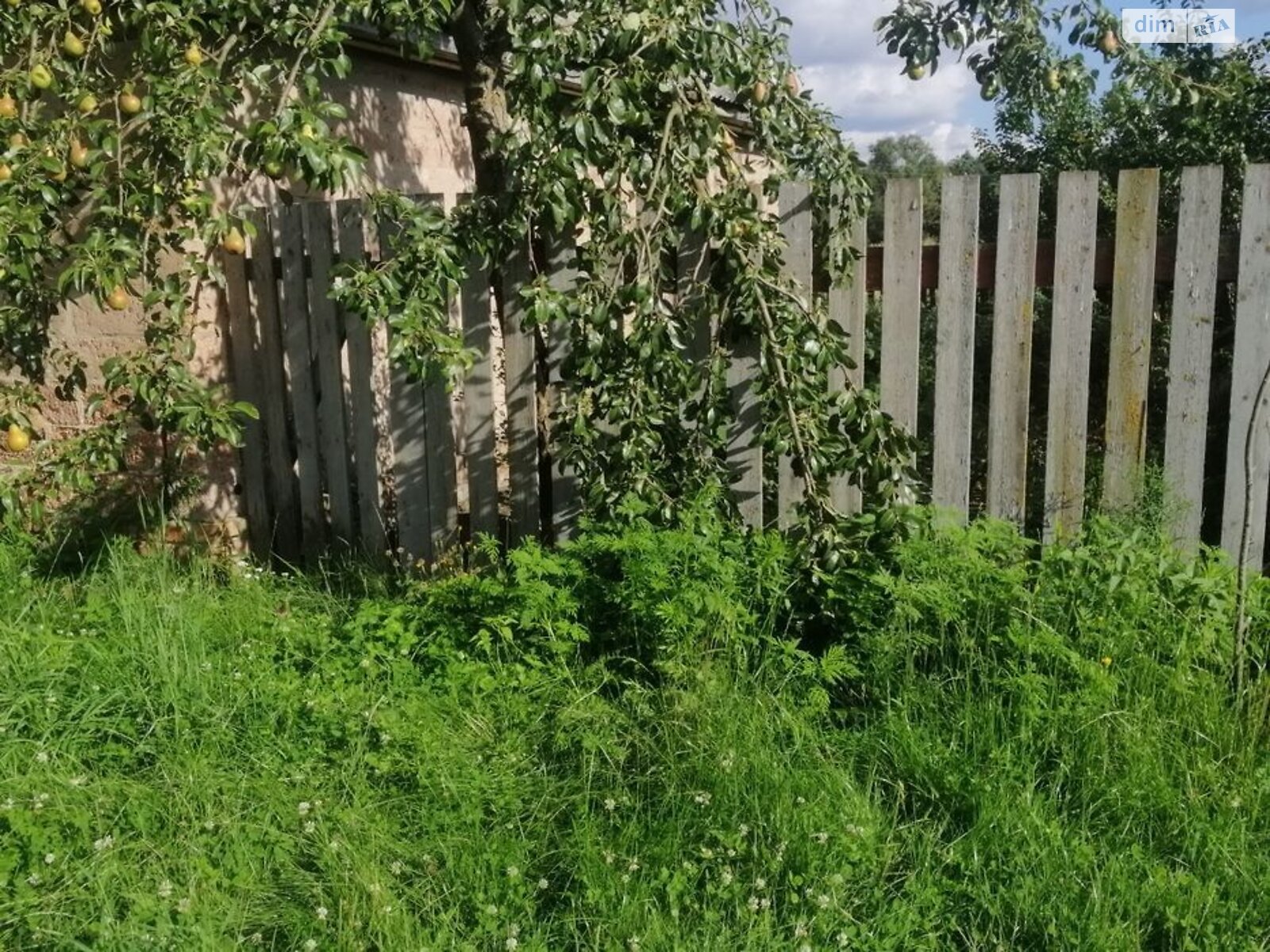 одноповерховий будинок, 67 кв. м, дерево та цегла. Продаж у Вишнівці фото 1 одноповерховий будинок, 67 кв. м, дерево та цегла. Продаж у Вишнівці фото 1