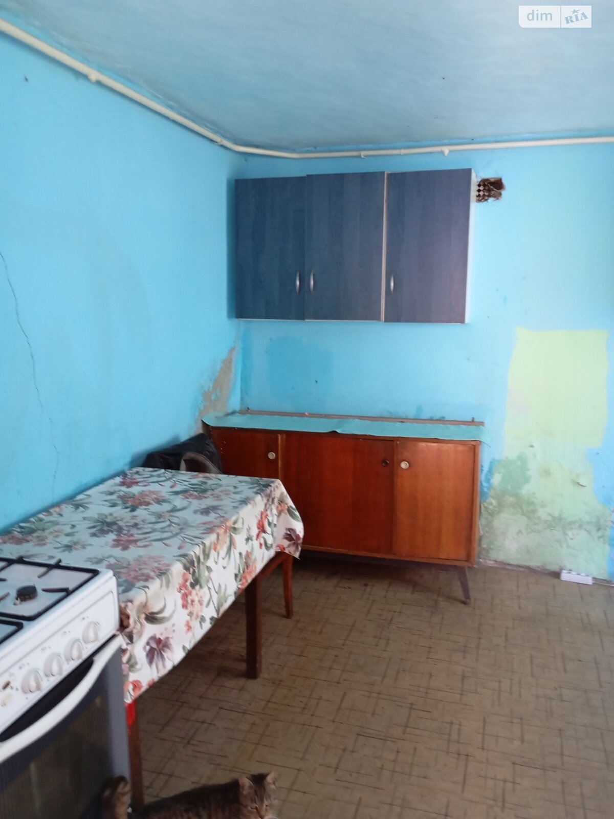 одноповерховий будинок, 52 кв. м, кирпич. Продаж у Визирці фото 1 одноповерховий будинок, 52 кв. м, кирпич. Продаж у Визирці фото 1