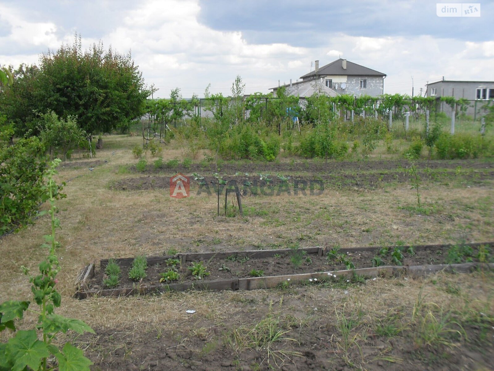 одноповерховий будинок, 59 кв. м, кирпич. Продаж у Владимирівському фото 1