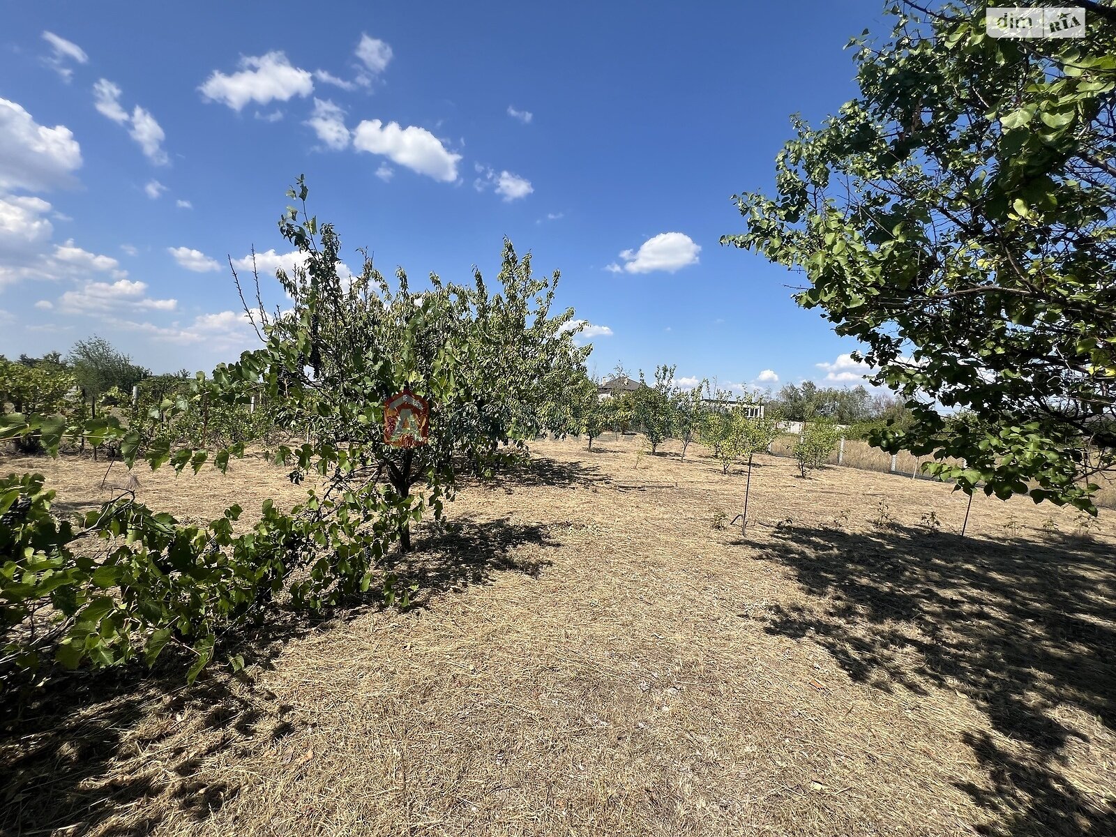 одноповерховий будинок, 59 кв. м, кирпич. Продаж у Владимирівському фото 1