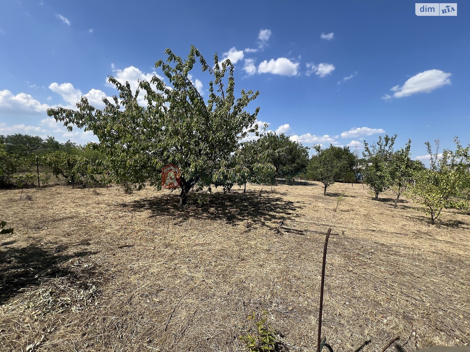 одноповерховий будинок, 59 кв. м, кирпич. Продаж у Владимирівському фото 1